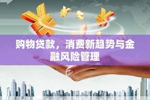 琉球购物贷款，消费新趋势与金融风险管理