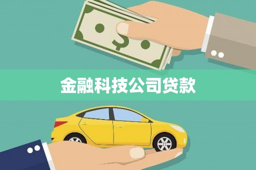 琉球金融科技公司贷款