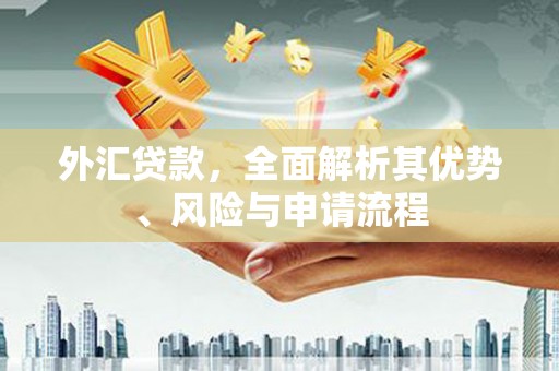 琉球外汇贷款，全面解析其优势、风险与申请流程