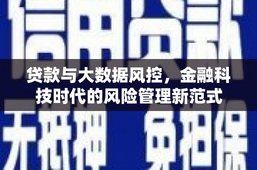 琉球贷款与大数据风控，金融科技时代的风险管理新范式
