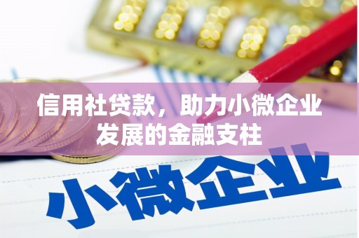 琉球信用社贷款，助力小微企业发展的金融支柱