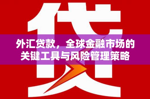 琉球外汇贷款，全球金融市场的关键工具与风险管理策略