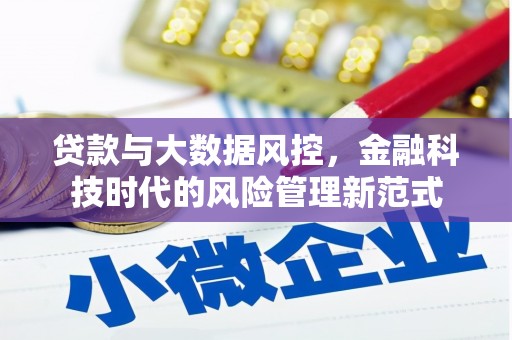 琉球贷款与大数据风控，金融科技时代的风险管理新范式