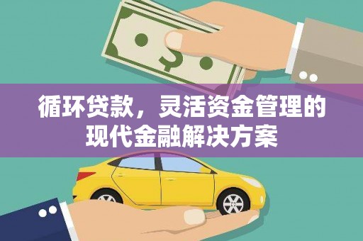 琉球循环贷款，灵活资金管理的现代金融解决方案