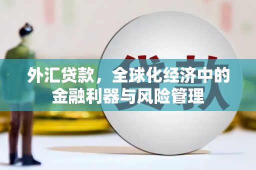 琉球外汇贷款，全球化经济中的金融利器与风险管理