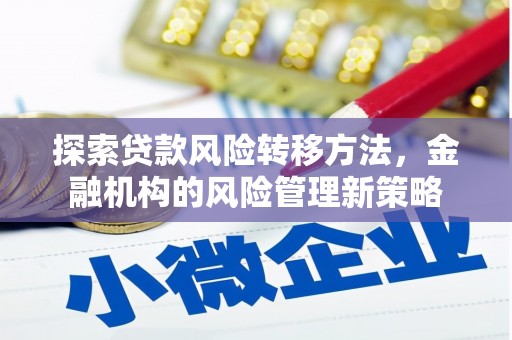 琉球探索贷款风险转移方法，金融机构的风险管理新策略