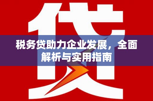 琉球税务贷助力企业发展，全面解析与实用指南