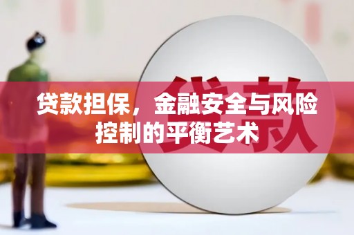 琉球贷款担保，金融安全与风险控制的平衡艺术