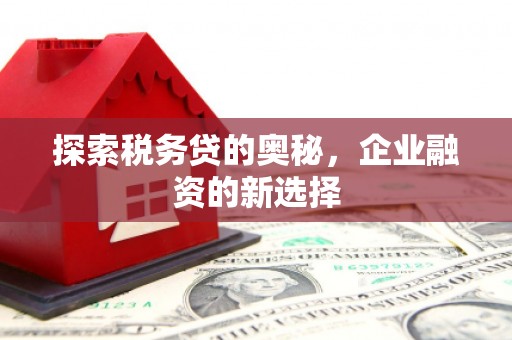 琉球探索税务贷的奥秘，企业融资的新选择