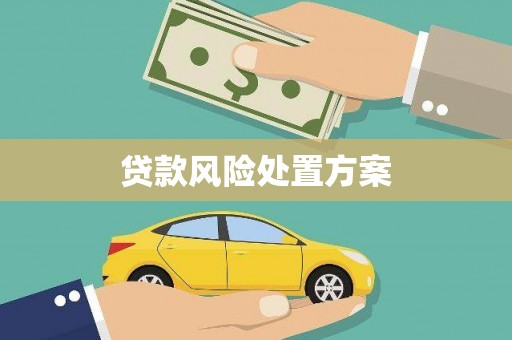 琉球贷款风险处置方案