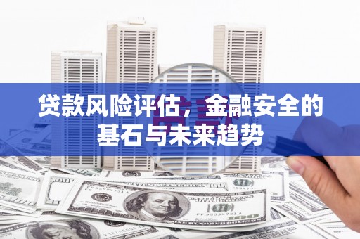 琉球贷款风险评估，金融安全的基石与未来趋势