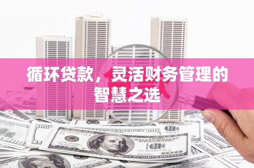 琉球循环贷款，灵活财务管理的智慧之选