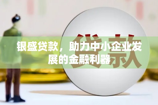 琉球银盛贷款，助力中小企业发展的金融利器