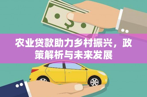 琉球农业贷款助力乡村振兴，政策解析与未来发展