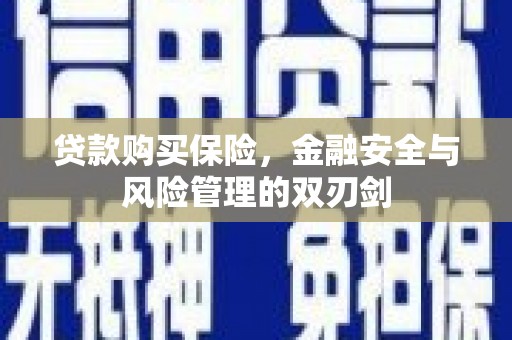 琉球贷款购买保险，金融安全与风险管理的双刃剑