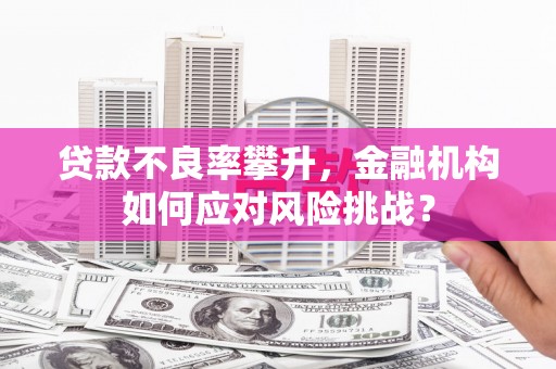 琉球贷款不良率攀升，金融机构如何应对风险挑战？