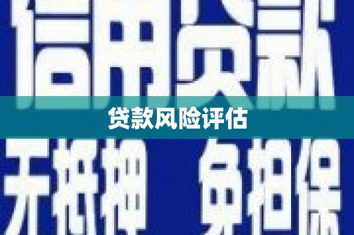 琉球贷款风险评估