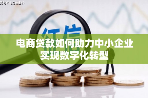 琉球电商贷款如何助力中小企业实现数字化转型