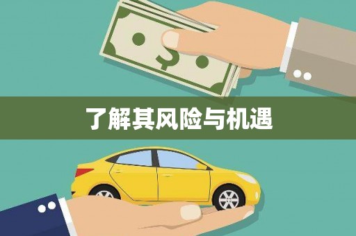 琉球了解其风险与机遇
