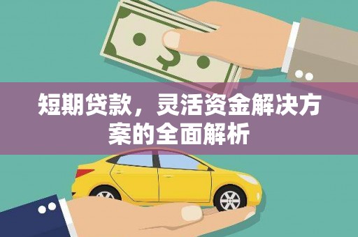 琉球短期贷款，灵活资金解决方案的全面解析