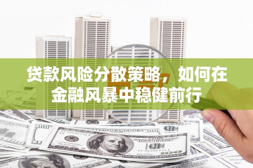 琉球贷款风险分散策略，如何在金融风暴中稳健前行