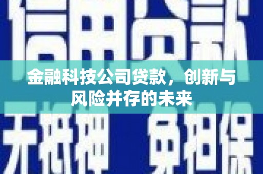 琉球金融科技公司贷款，创新与风险并存的未来