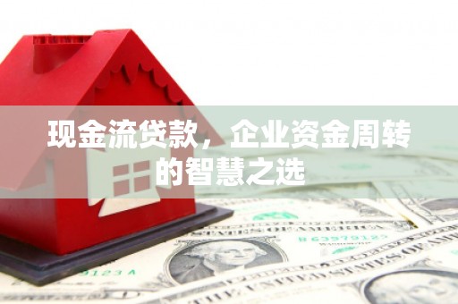 琉球现金流贷款，企业资金周转的智慧之选