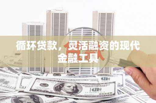 琉球循环贷款，灵活融资的现代金融工具