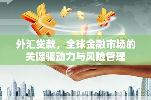 琉球外汇贷款，全球金融市场的关键驱动力与风险管理