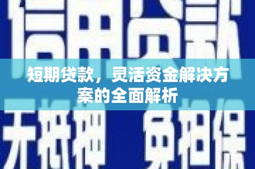 琉球短期贷款，灵活资金解决方案的全面解析