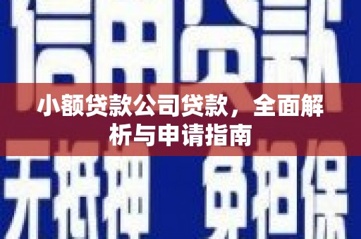 琉球小额贷款公司贷款，全面解析与申请指南