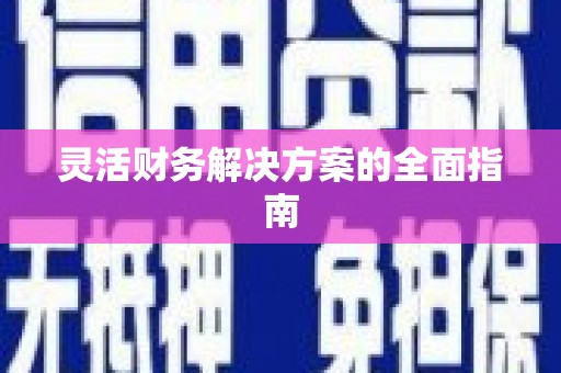 琉球灵活财务解决方案的全面指南