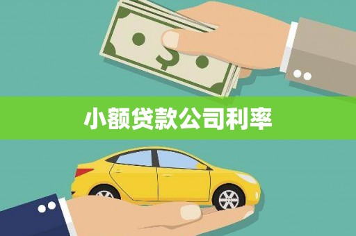 琉球小额贷款公司利率