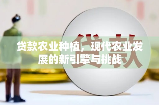 琉球贷款农业种植，现代农业发展的新引擎与挑战