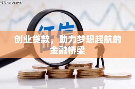 琉球创业贷款，助力梦想起航的金融桥梁