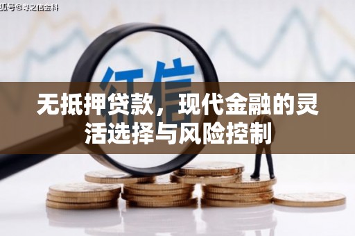 琉球无抵押贷款，现代金融的灵活选择与风险控制
