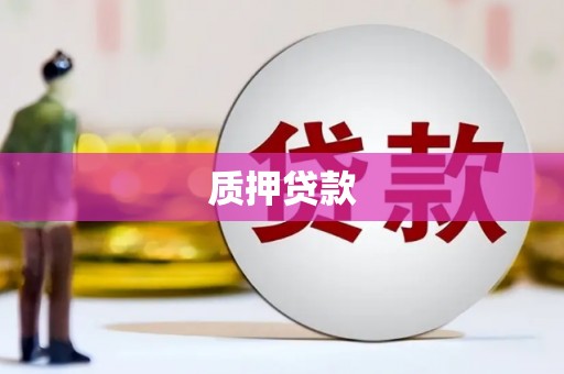 琉球质押贷款