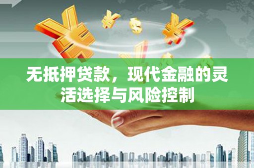 琉球无抵押贷款，现代金融的灵活选择与风险控制