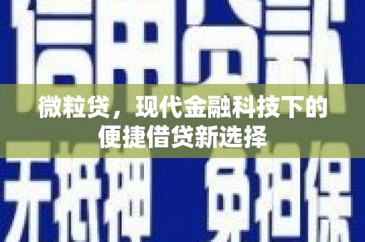 琉球微粒贷，现代金融科技下的便捷借贷新选择