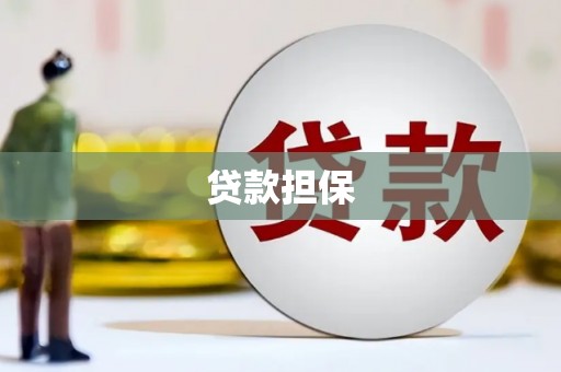琉球贷款担保