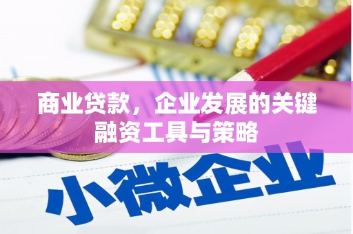 琉球商业贷款，企业发展的关键融资工具与策略