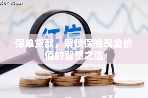琉球保单贷款，解锁保险现金价值的智慧之选