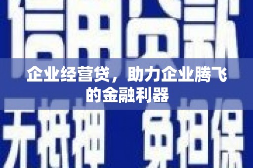 琉球企业经营贷，助力企业腾飞的金融利器