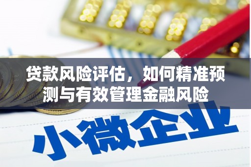 琉球贷款风险评估，如何精准预测与有效管理金融风险