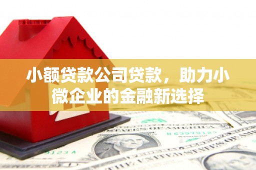 琉球小额贷款公司贷款，助力小微企业的金融新选择