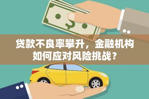 琉球贷款不良率攀升，金融机构如何应对风险挑战？