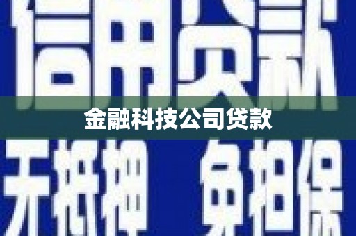 琉球金融科技公司贷款