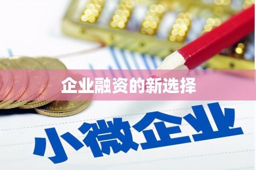 琉球企业融资的新选择