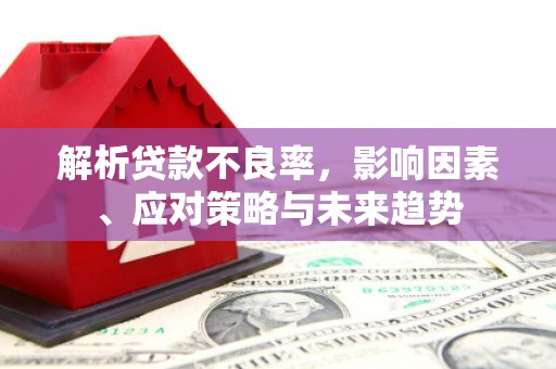 琉球解析贷款不良率，影响因素、应对策略与未来趋势