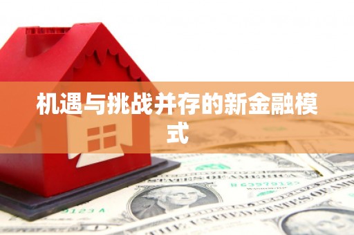 琉球机遇与挑战并存的新金融模式
